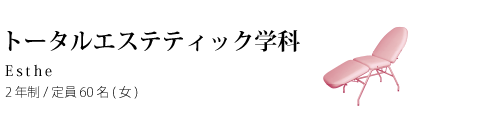 �g�[�^���G�X�e�e�B�b�N��