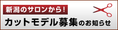 �V���̃T��������A�J�b�g���f����W�̂��m�点�B
