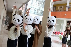 ハロウィン (14)