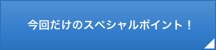 今回だけのスペシャルポイント！
