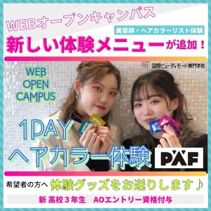 新しい体験メニューが追加 (1)